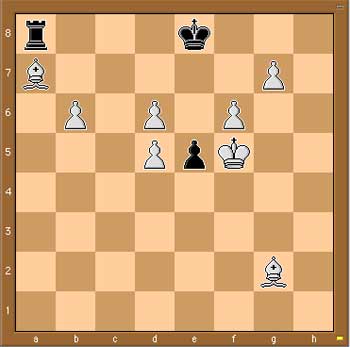 exotic chess positions (1) – neverendingbooks